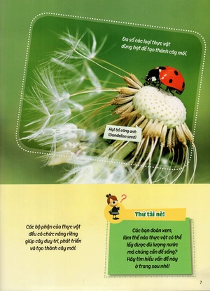 học vui hiểu rộng biết nhiều - cây cối diệu kì