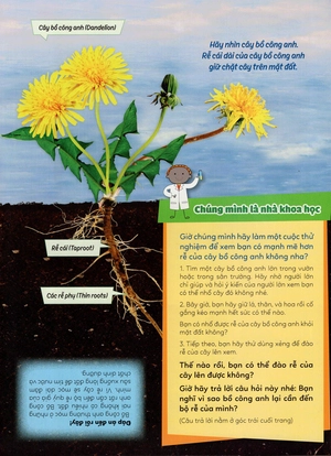 học vui hiểu rộng biết nhiều - cây cối diệu kì