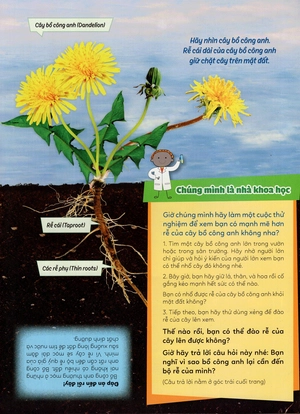 học vui hiểu rộng biết nhiều - cây cối diệu kì