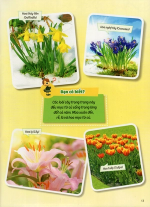 học vui hiểu rộng biết nhiều - cây cối diệu kì