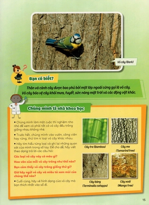 học vui hiểu rộng biết nhiều - cây cối diệu kì