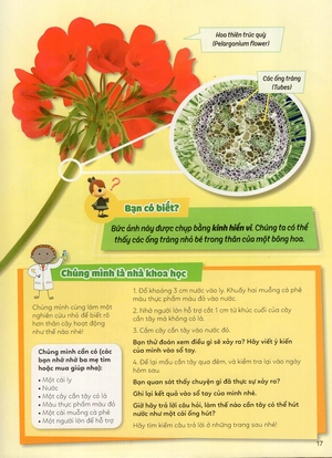 học vui hiểu rộng biết nhiều - cây cối diệu kì