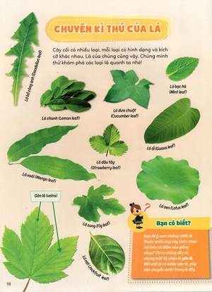 học vui hiểu rộng biết nhiều - cây cối diệu kì