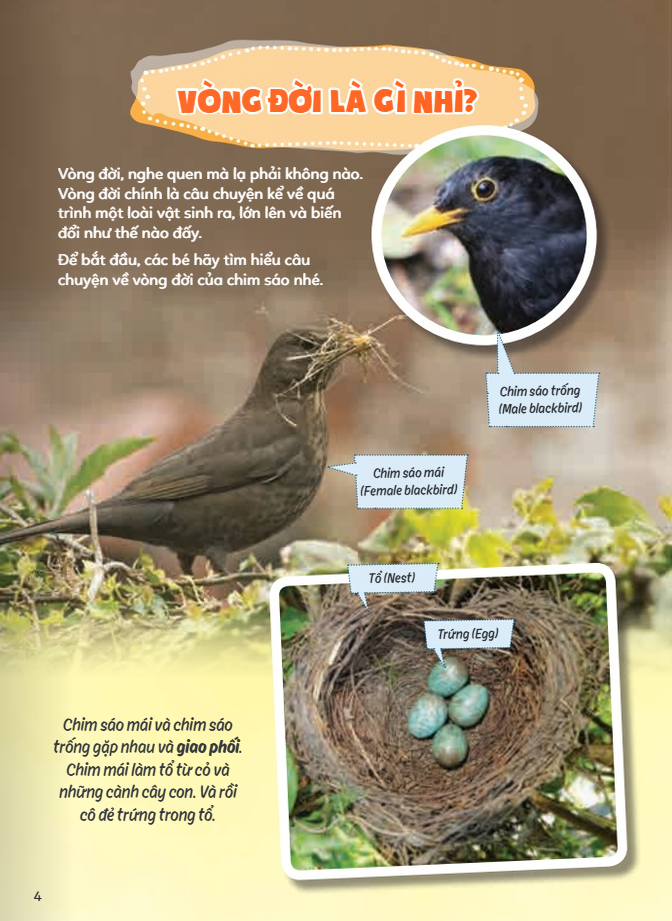 Hoc Vui Hieu Rong Biet Nhieu - Chuyen Ki Thu Ve Vong Doi Dong Vat