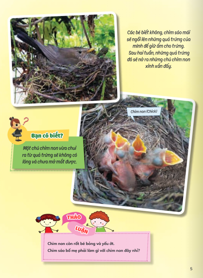 Hoc Vui Hieu Rong Biet Nhieu - Chuyen Ki Thu Ve Vong Doi Dong Vat