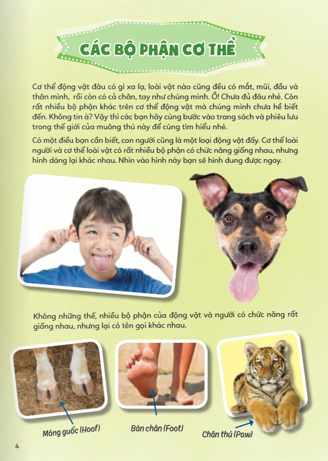 học vui hiểu rộng biết nhiều - cơ thể động vật