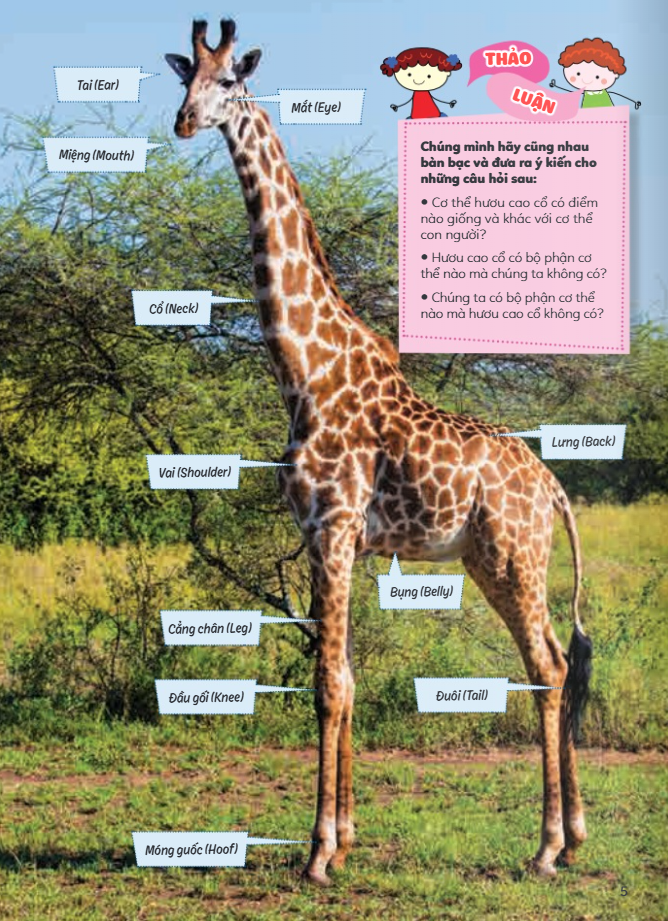 học vui hiểu rộng biết nhiều - cơ thể động vật