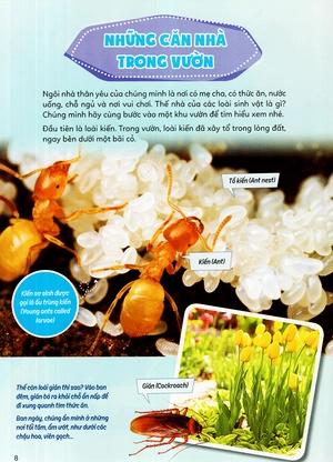 học vui hiểu rộng biết nhiều - sinh vật trú ẩn & săn mồi