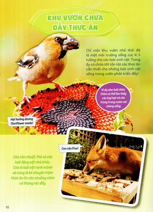 học vui hiểu rộng biết nhiều - sinh vật trú ẩn & săn mồi