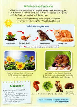 học vui hiểu rộng biết nhiều - sinh vật trú ẩn & săn mồi