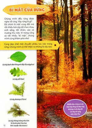 học vui hiểu rộng biết nhiều - sinh vật trú ẩn & săn mồi