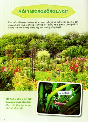 học vui hiểu rộng biết nhiều - sinh vật trú ẩn & săn mồi