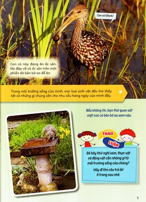 học vui hiểu rộng biết nhiều - sinh vật trú ẩn & săn mồi