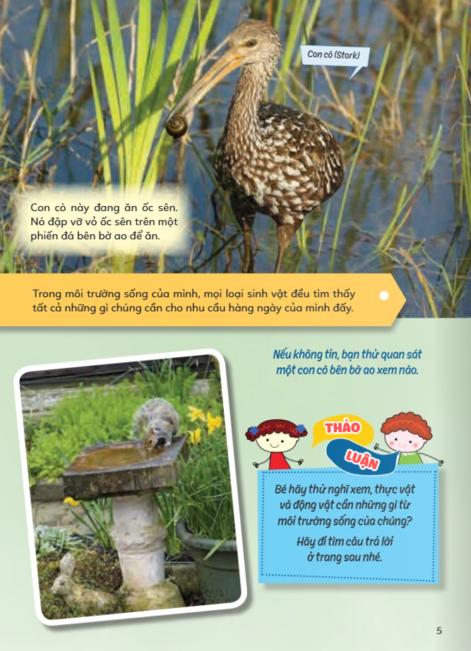 Hoc Vui Hieu Rong Biet Nhieu - Sinh Vat Tru An Va San Moi