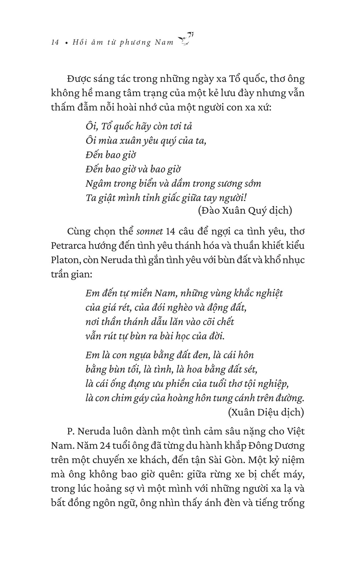 hồi âm từ phương nam