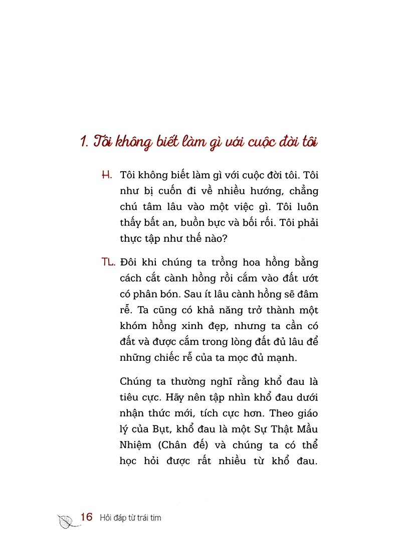 hỏi đáp từ trái tim (tái bản 2024)