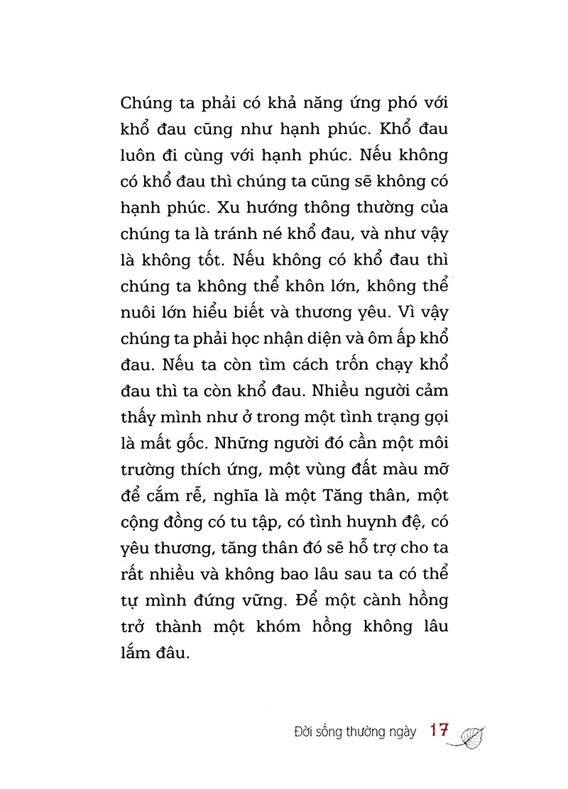 hỏi đáp từ trái tim (tái bản 2024)