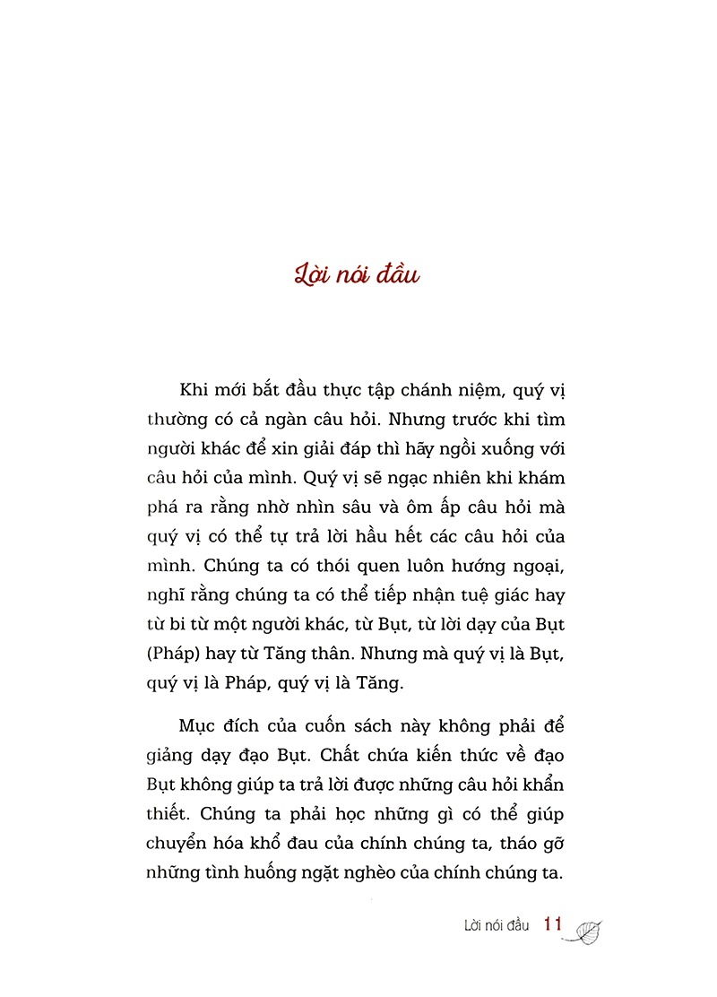 hỏi đáp từ trái tim (tái bản 2024)