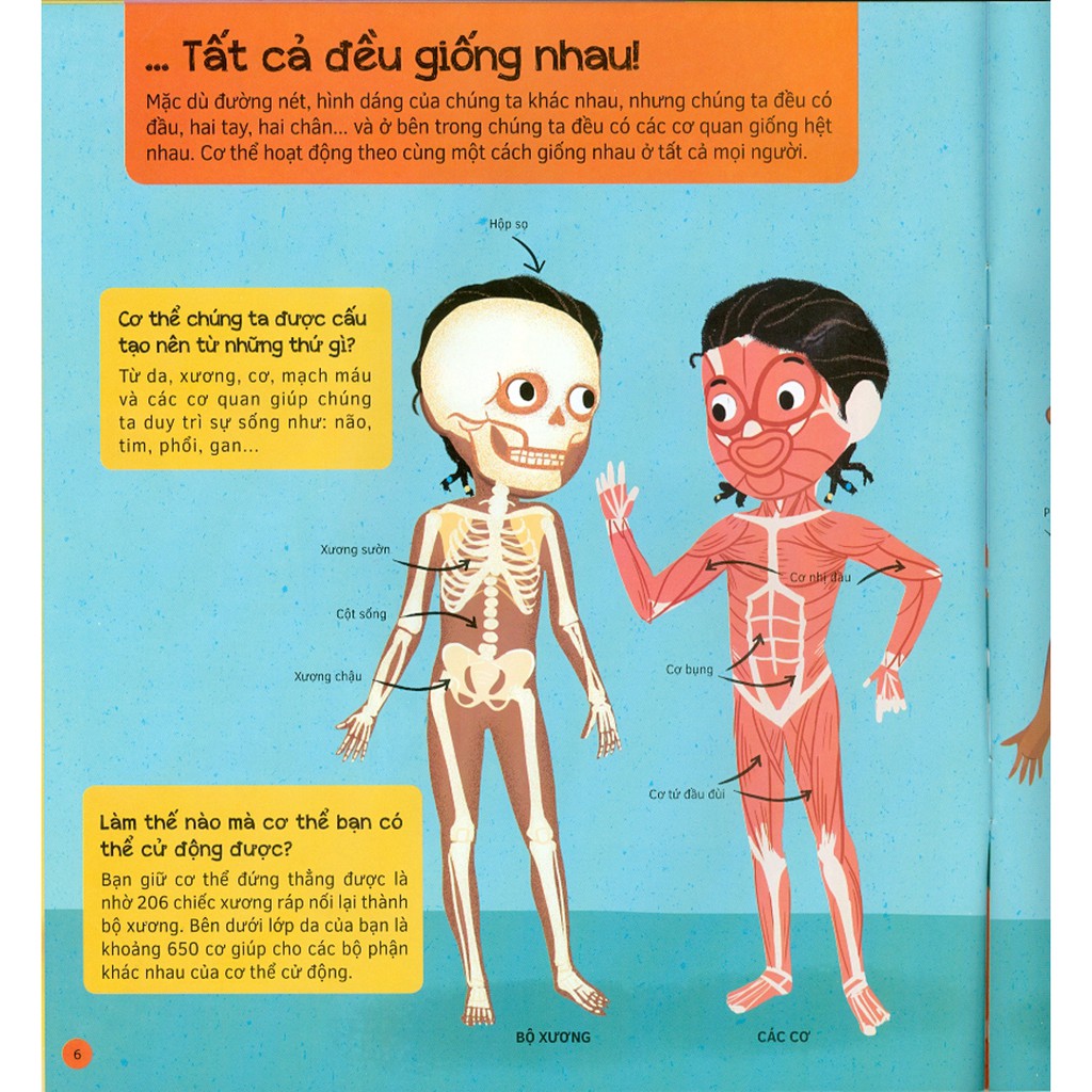 hỏi - đáp về cơ thể người