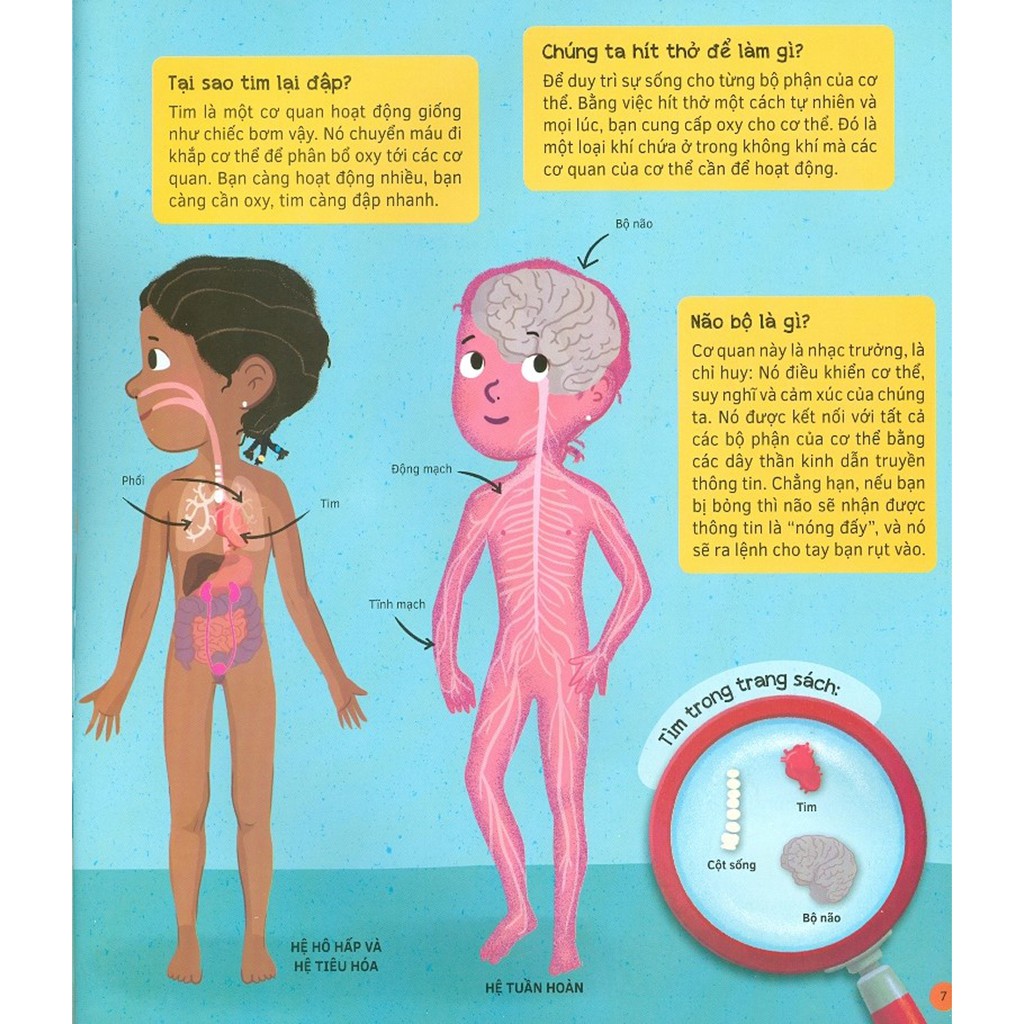 hỏi - đáp về cơ thể người