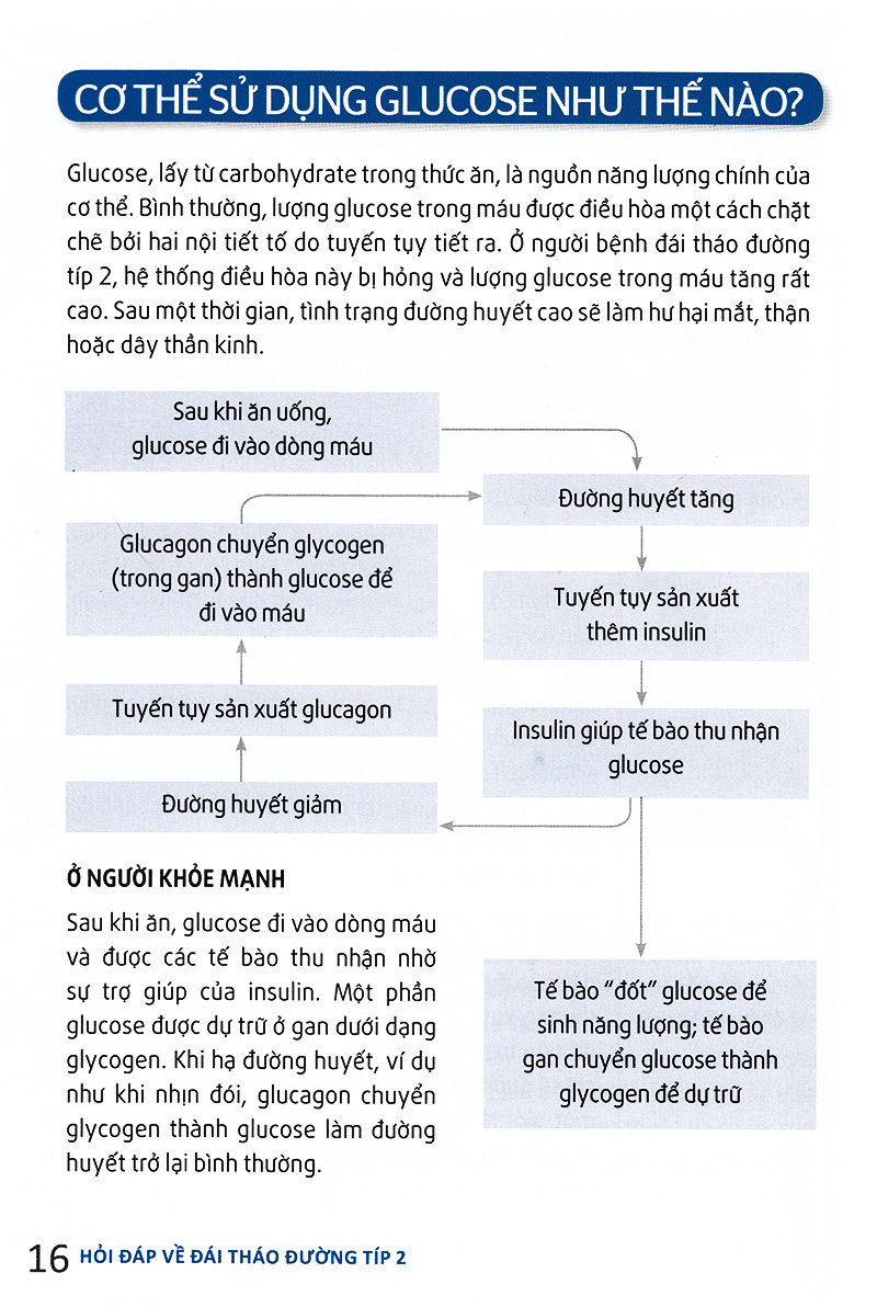 hỏi đáp về đái tháo đường típ 2