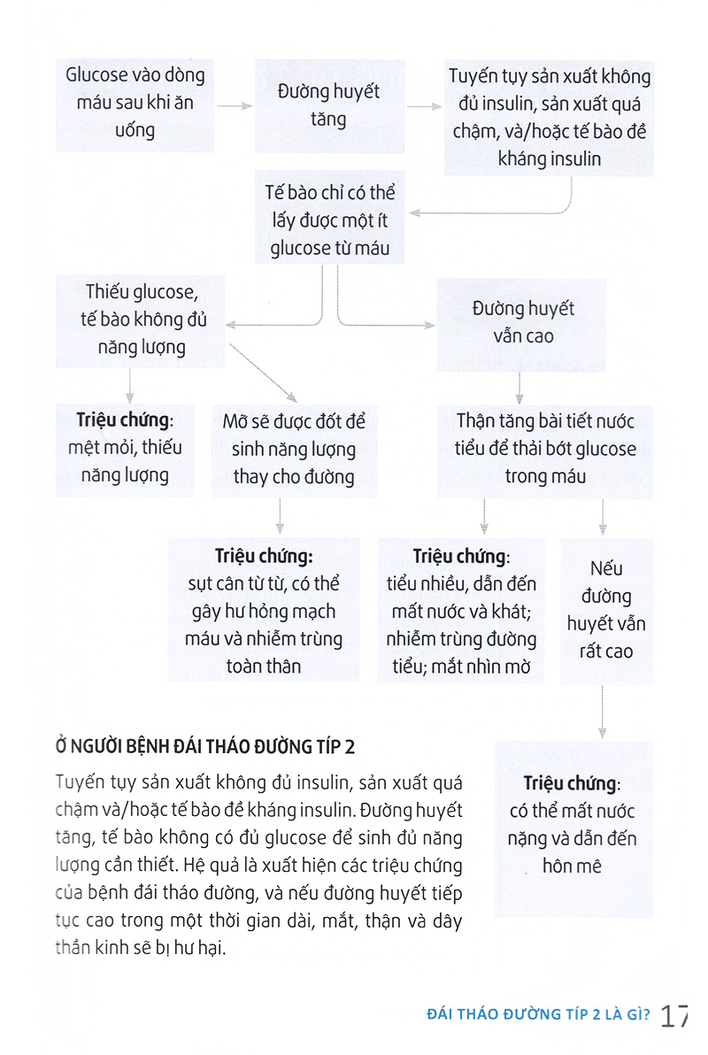 hỏi đáp về đái tháo đường típ 2