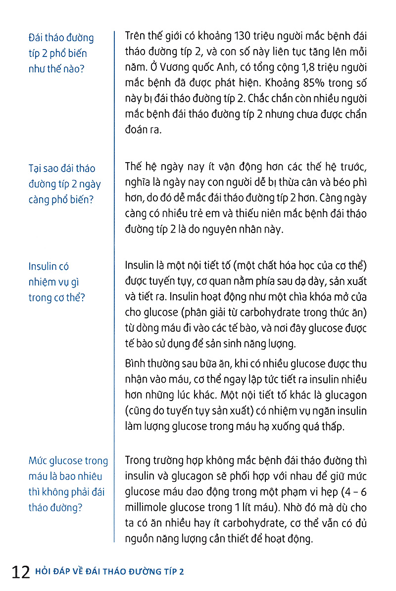 hỏi đáp về đái tháo đường típ 2
