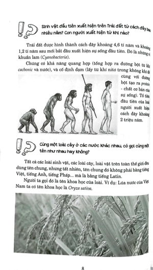 hỏi đáp về mọi chuyện