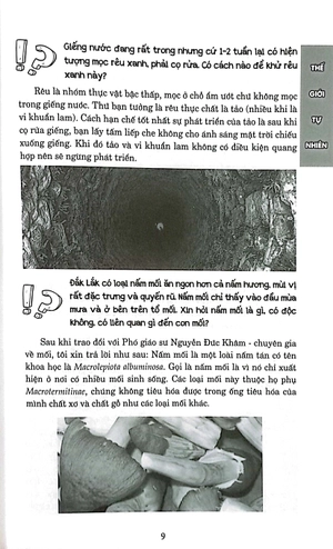 hỏi đáp về mọi chuyện