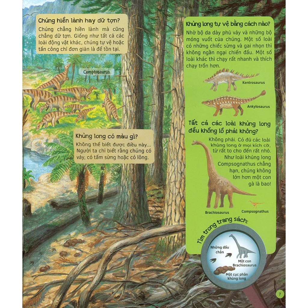 hỏi - đáp về thế giới khủng long