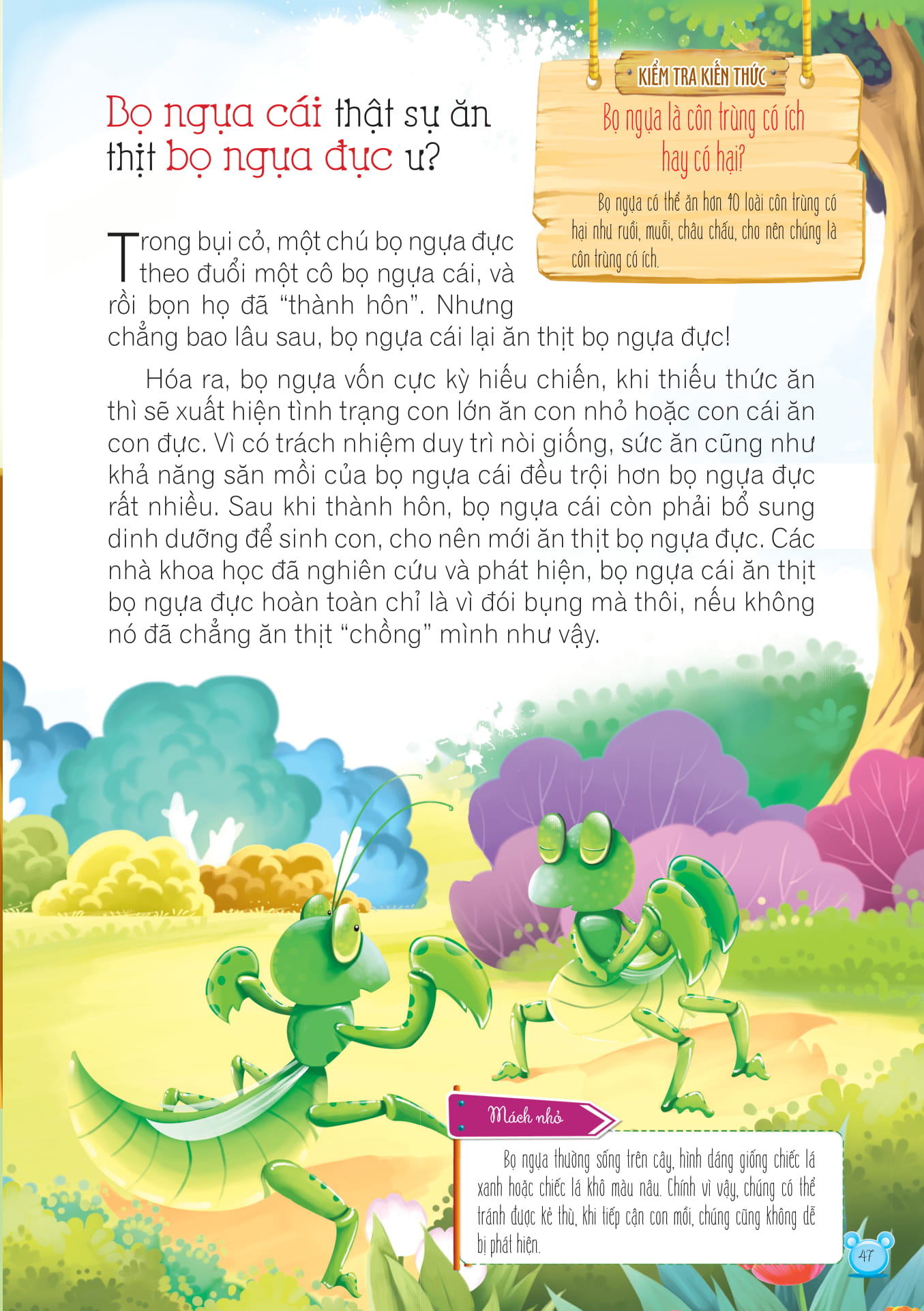 hỏi gì cũng biết - bí mật về động vật