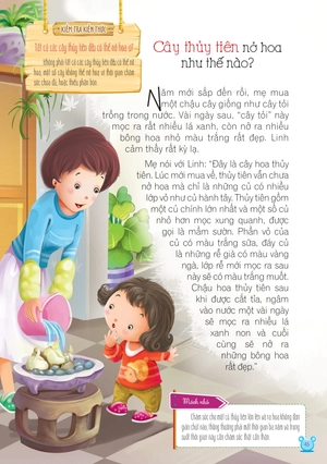 hỏi gì cũng biết - bí mật về thực vật