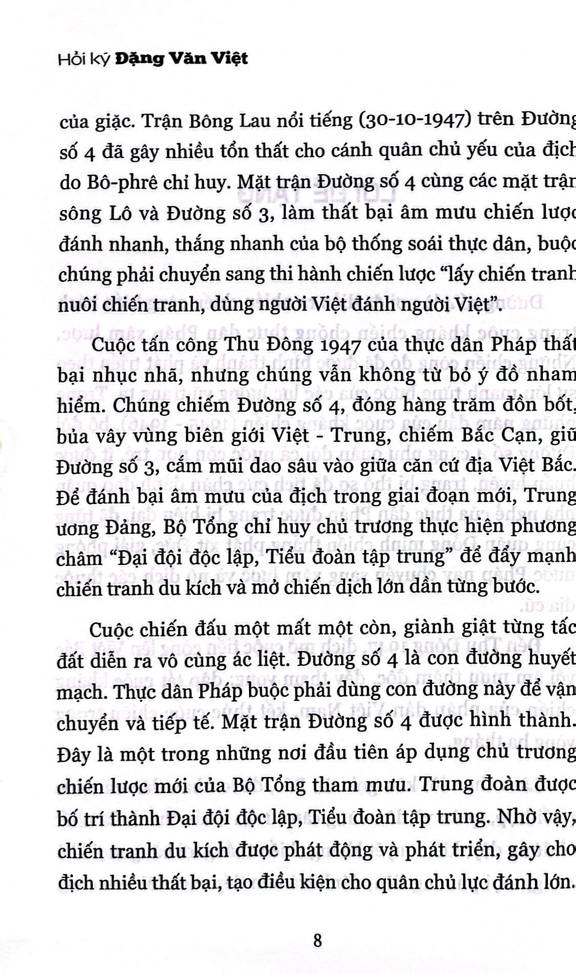 hồi ký đặng văn việt - hùm xám đường số 4