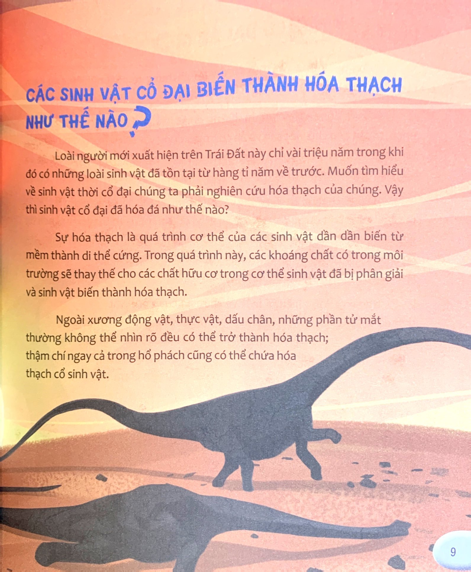 hỏi nhỏ biết to - cổ sinh vật (tái bản 2022)