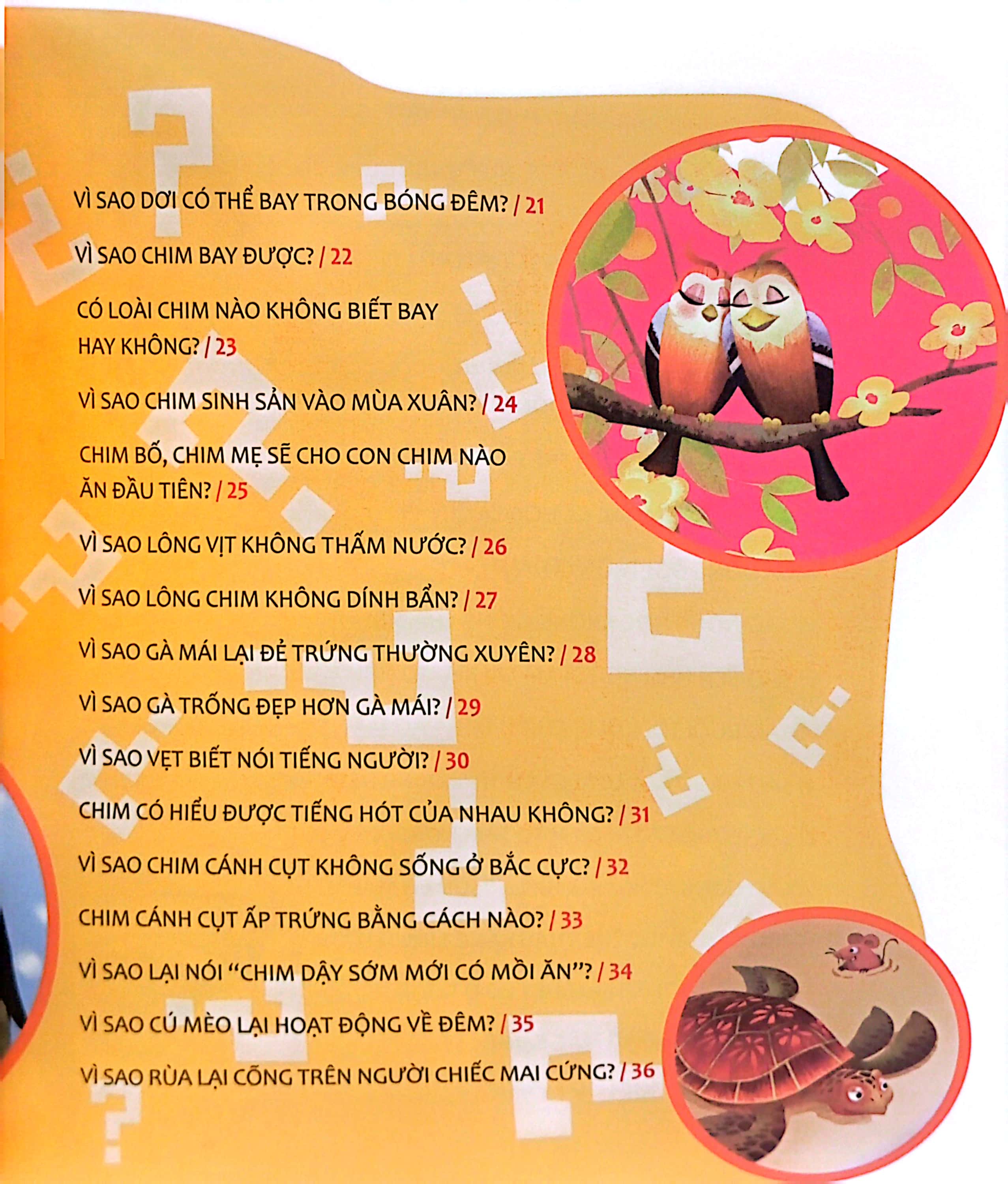 hỏi nhỏ biết to - động vật (tái bản 2022)