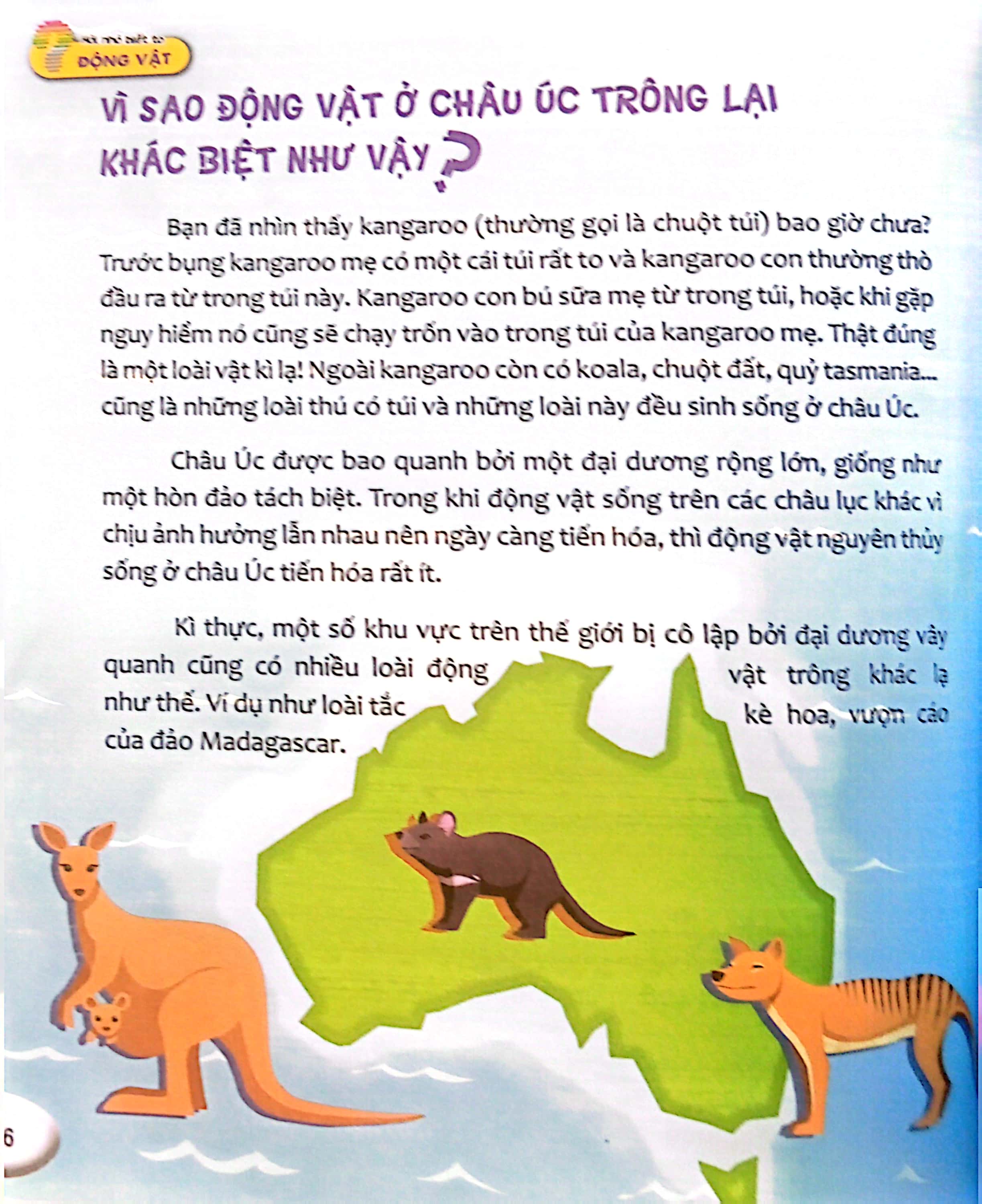 hỏi nhỏ biết to - động vật (tái bản 2022)