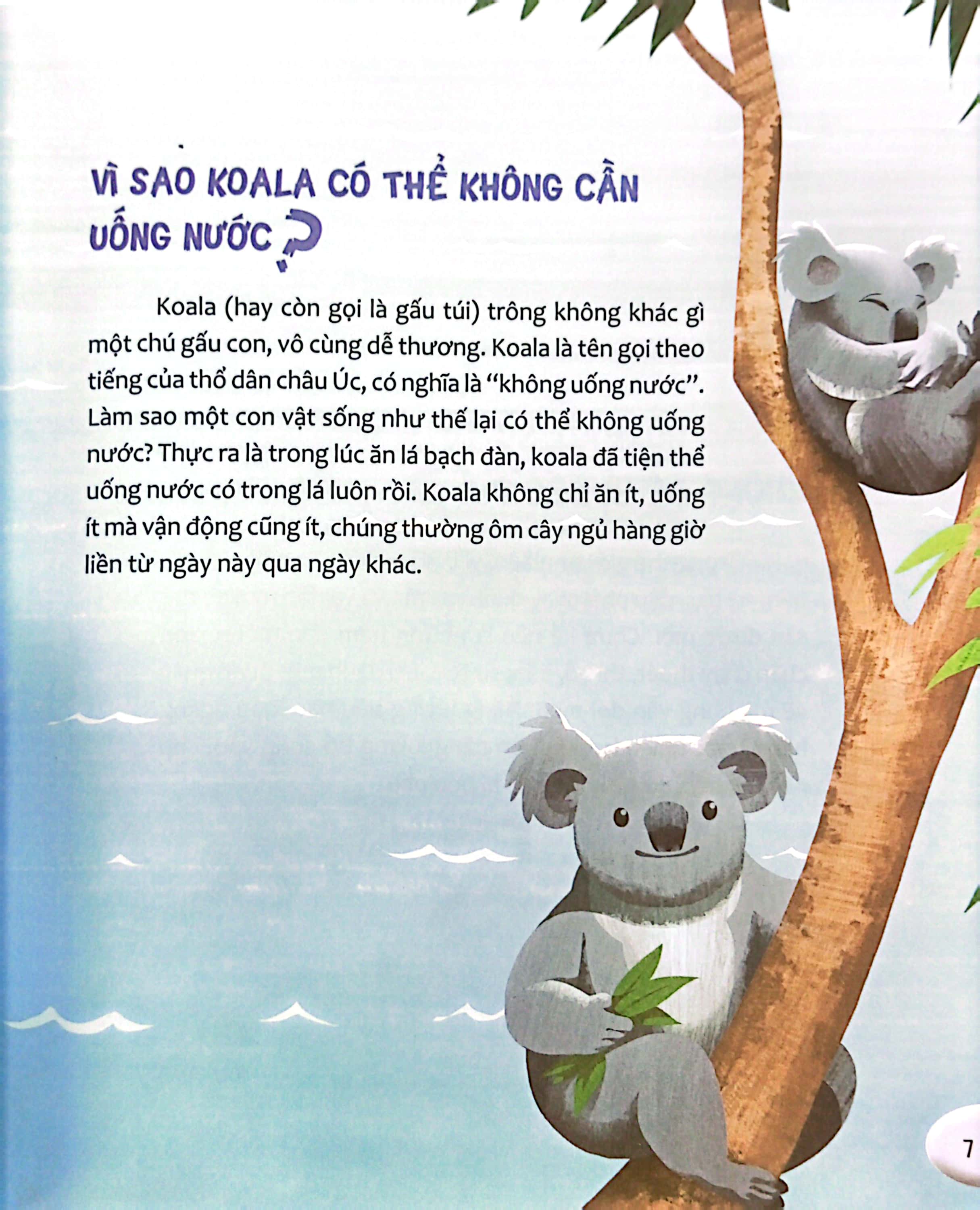 hỏi nhỏ biết to - động vật (tái bản 2022)