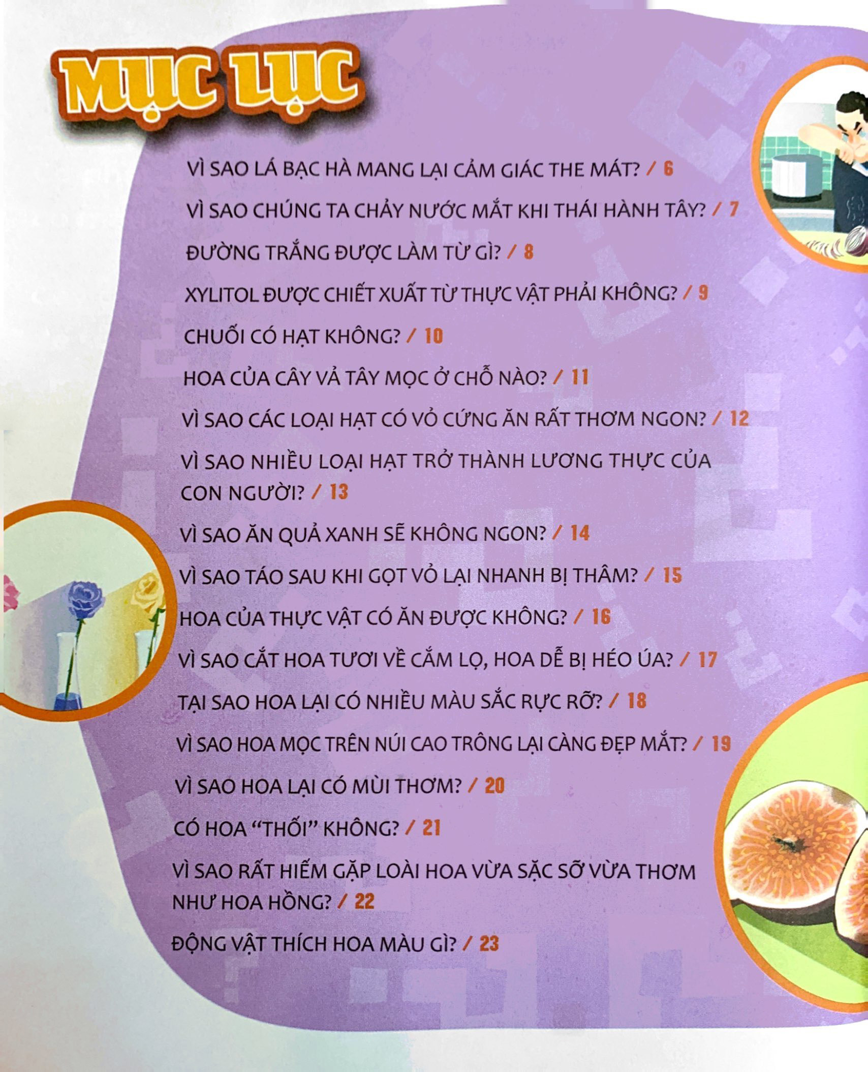 hỏi nhỏ biết to - thực vật (tái bản 2022)