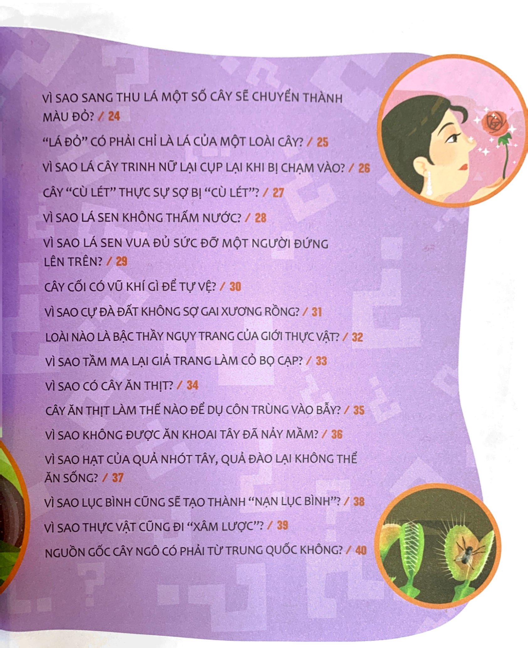 hỏi nhỏ biết to - thực vật (tái bản 2022)