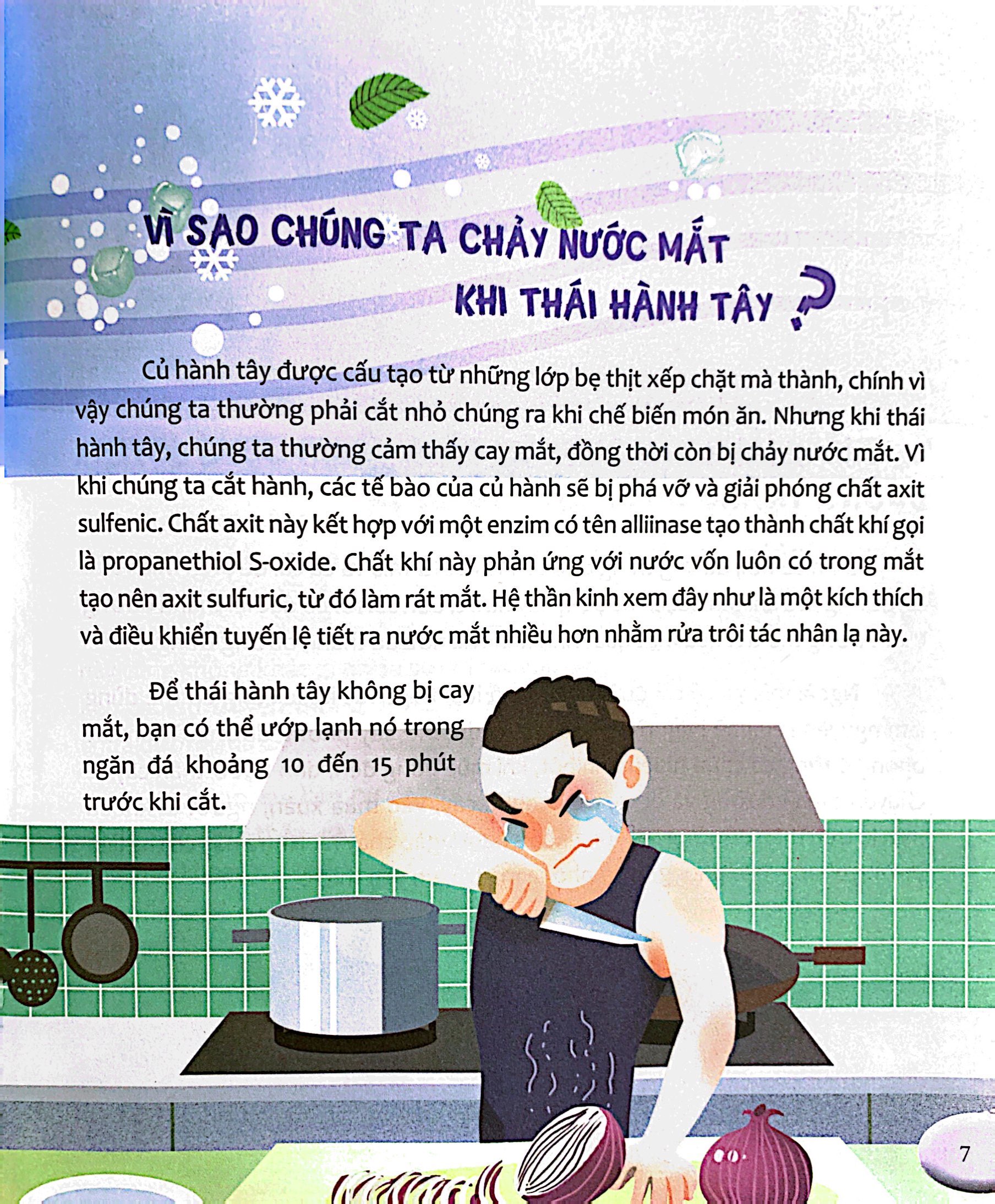 hỏi nhỏ biết to - thực vật (tái bản 2022)