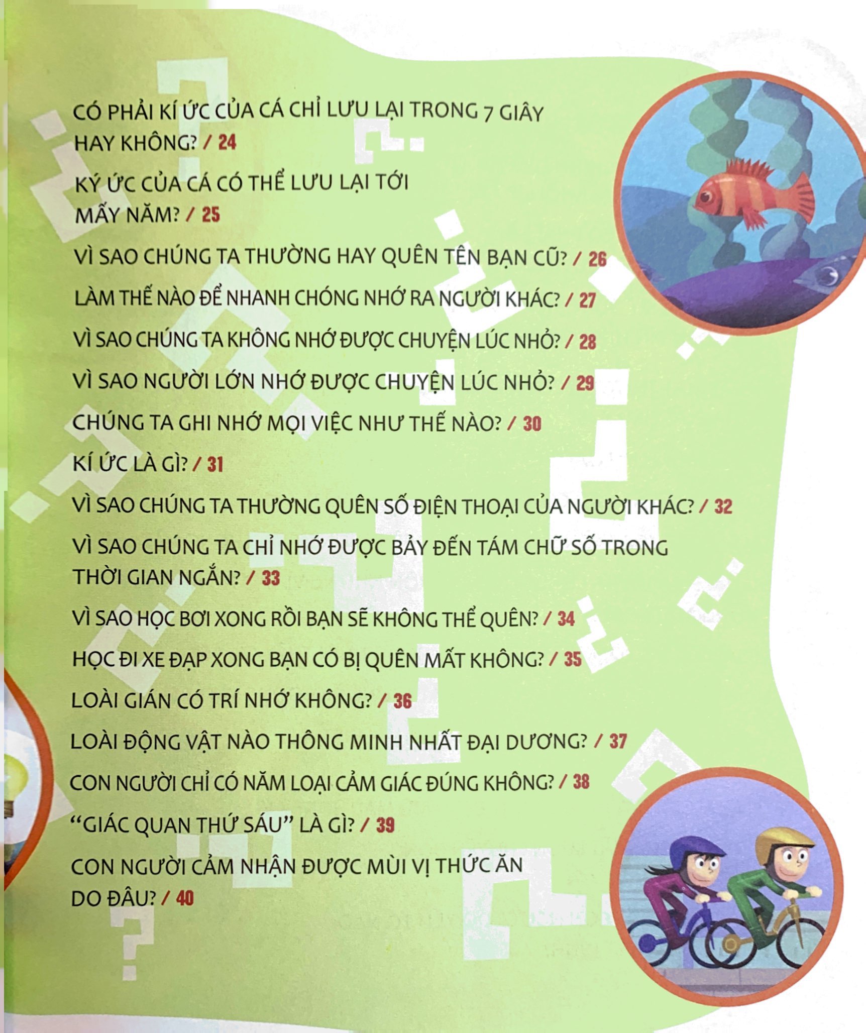 hỏi nhỏ biết to - trí lực (tái bản 2022)