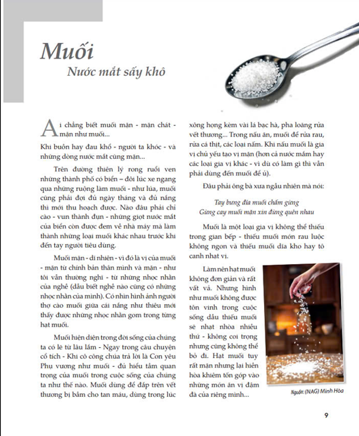 hơi thở của gia vị trong gian bếp việt