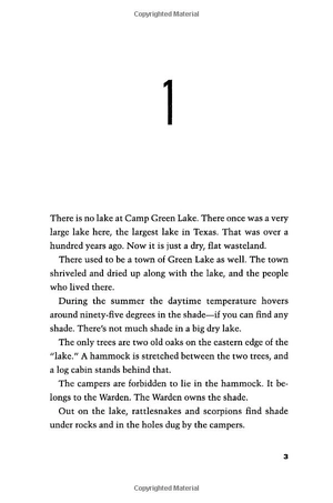 holes (a yearling book)