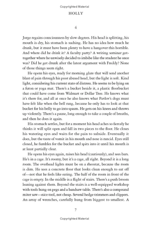 holly - stephen king