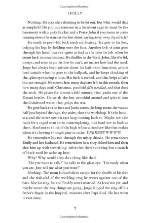 holly - stephen king