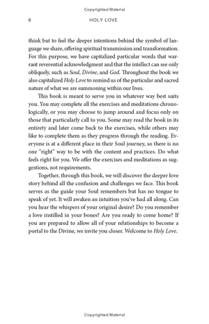 holy love: the essential guide to soul-fulfilling relationships