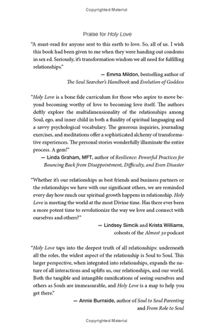 holy love: the essential guide to soul-fulfilling relationships