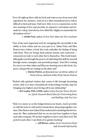 holy love: the essential guide to soul-fulfilling relationships