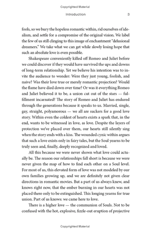 holy love: the essential guide to soul-fulfilling relationships