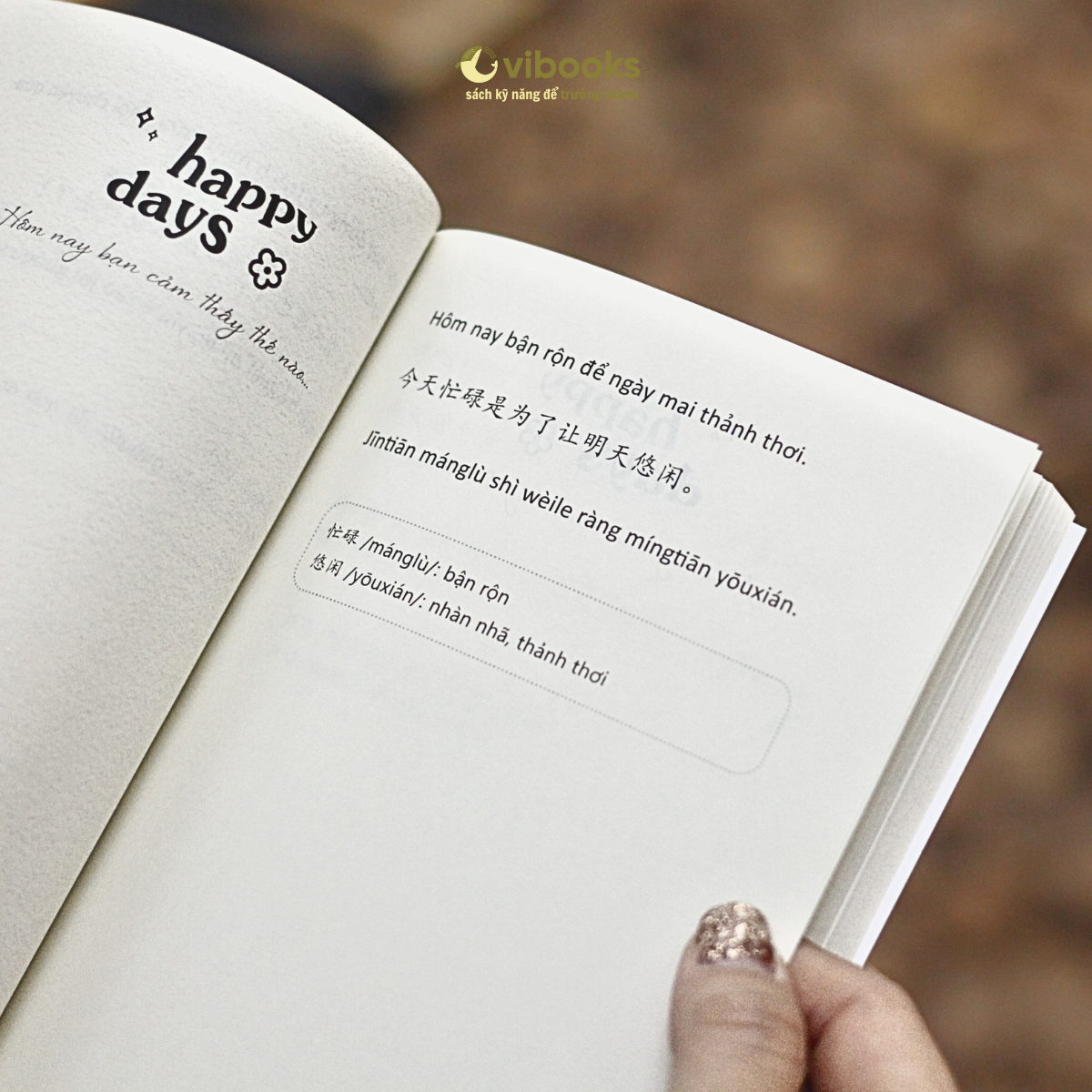 Hom Nay La Ngay Dep Troi De Chia Tay Noi Buon - Song Ngu Viet-Trung